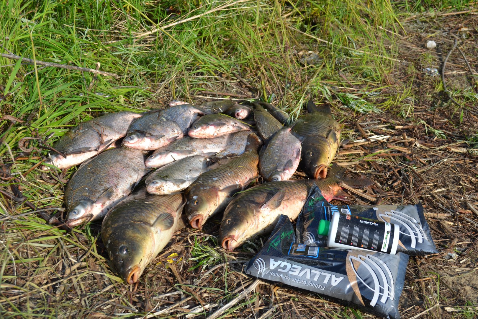 DSC_0827.JPG