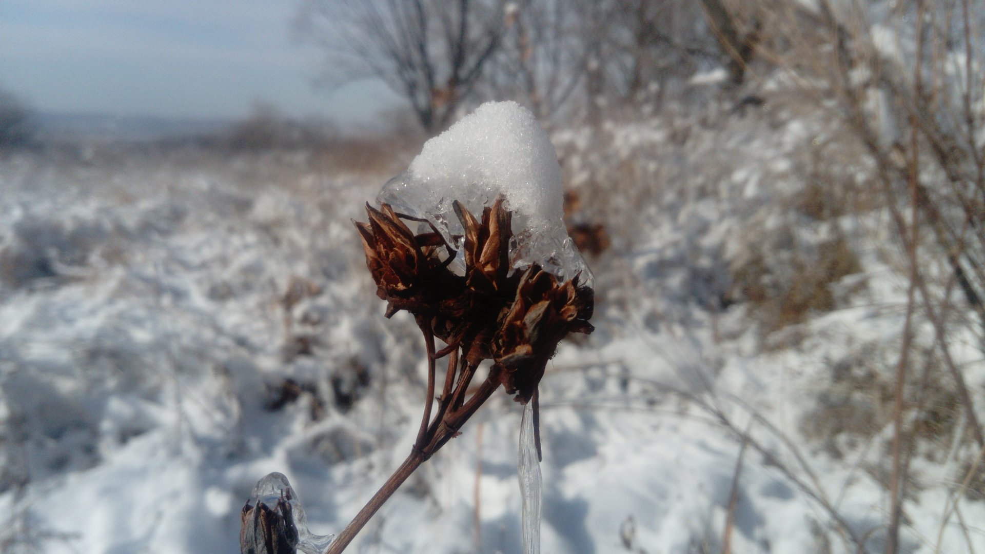 DSC_0832.JPG
