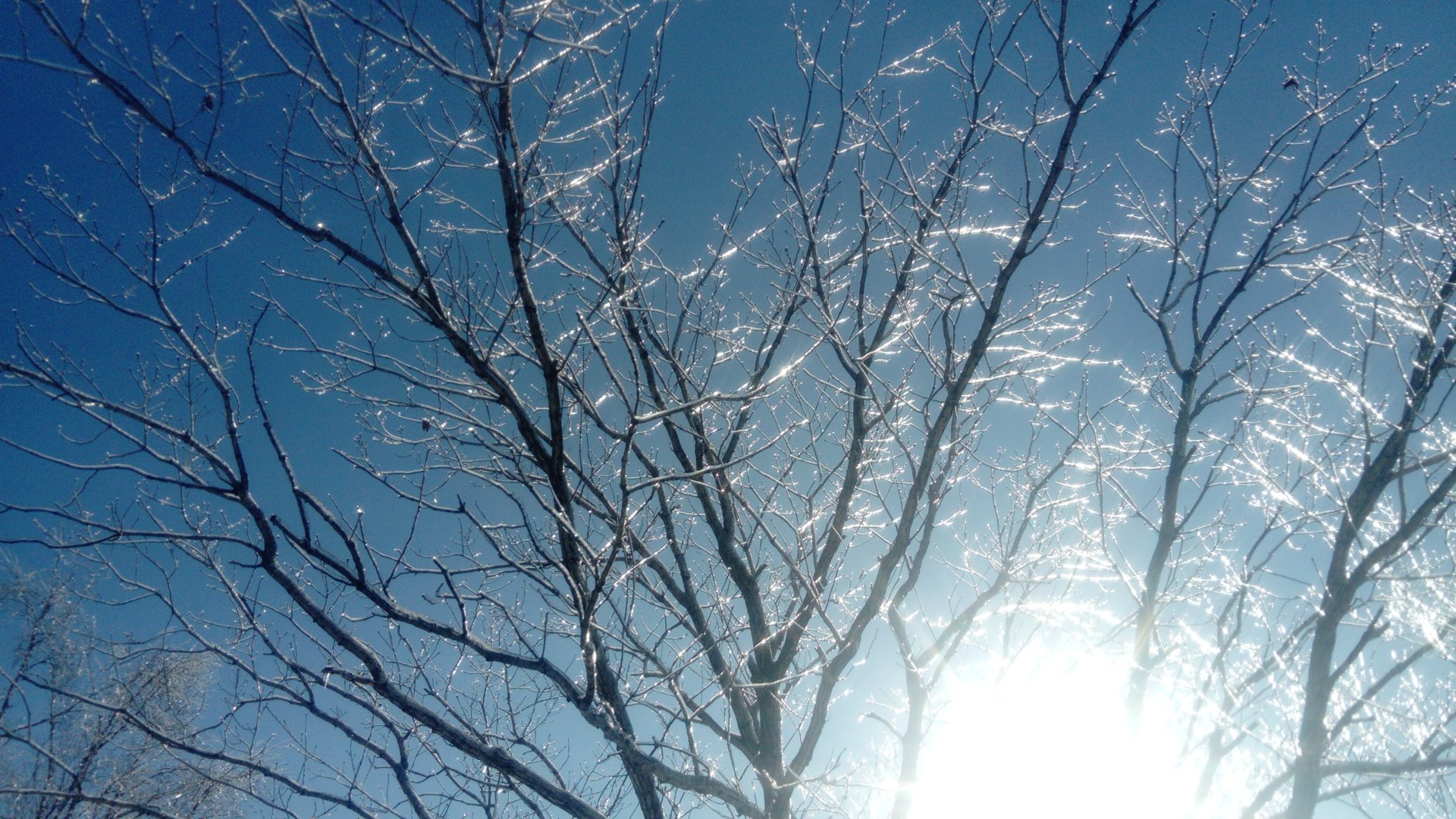 DSC_0835.JPG