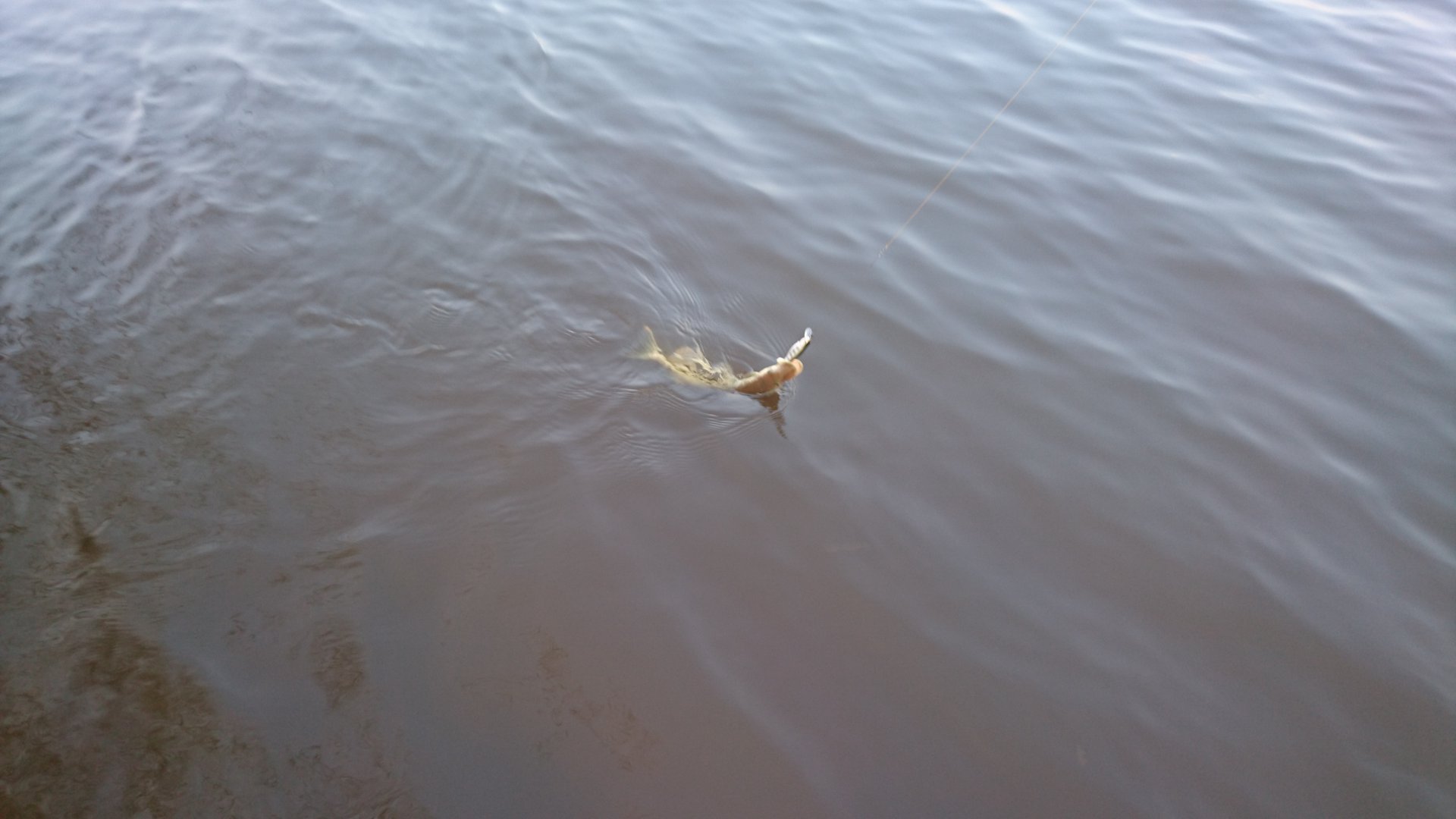 DSC_0847.JPG