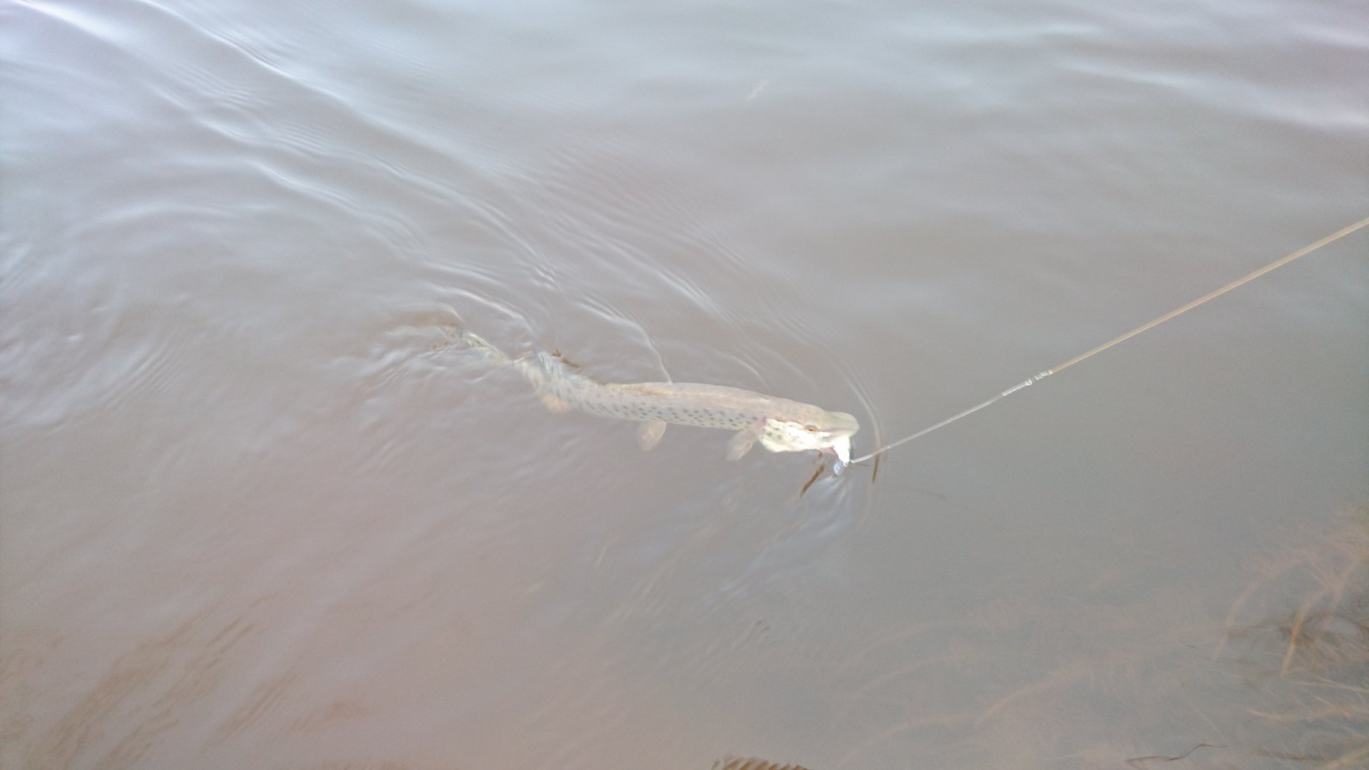 DSC_0852.JPG