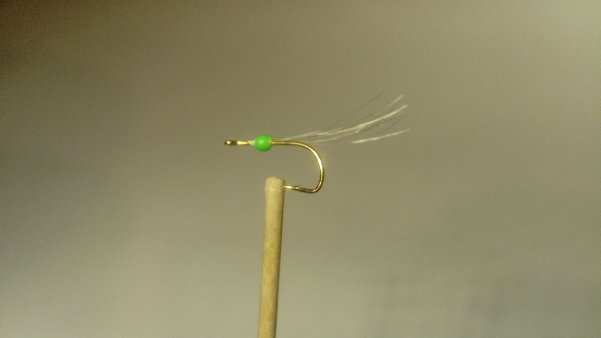 DSC_0887.JPG DSC_0887.JPG