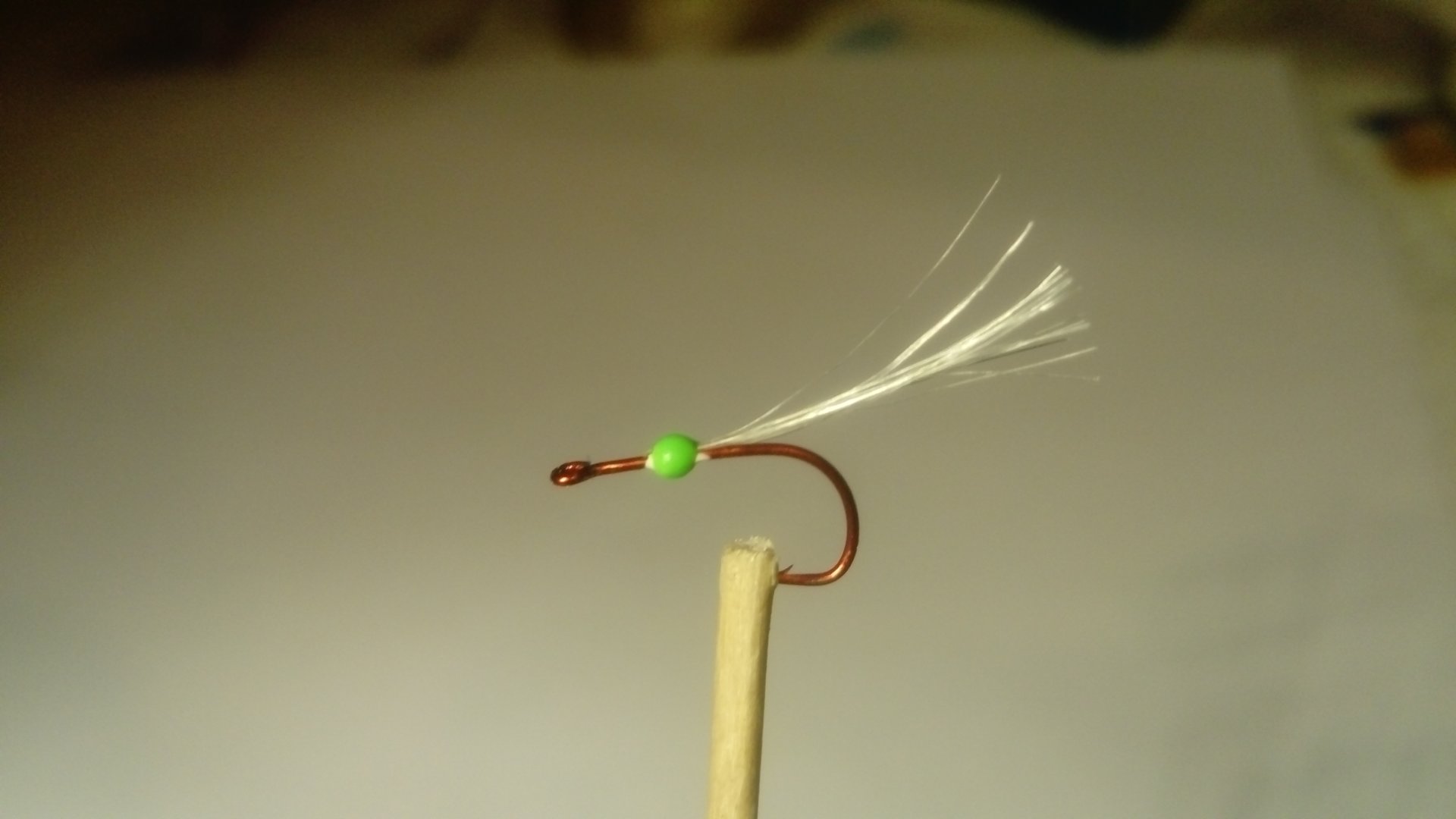 DSC_0894.JPG DSC_0894.JPG