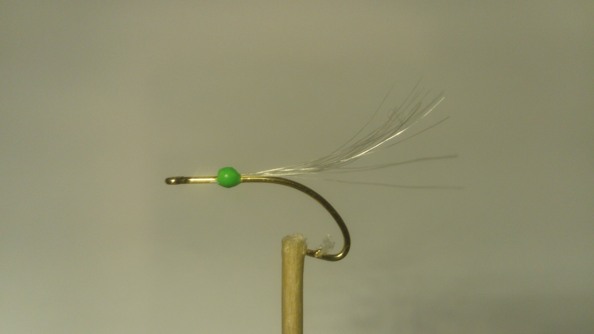 DSC_0896.JPG DSC_0896.JPG