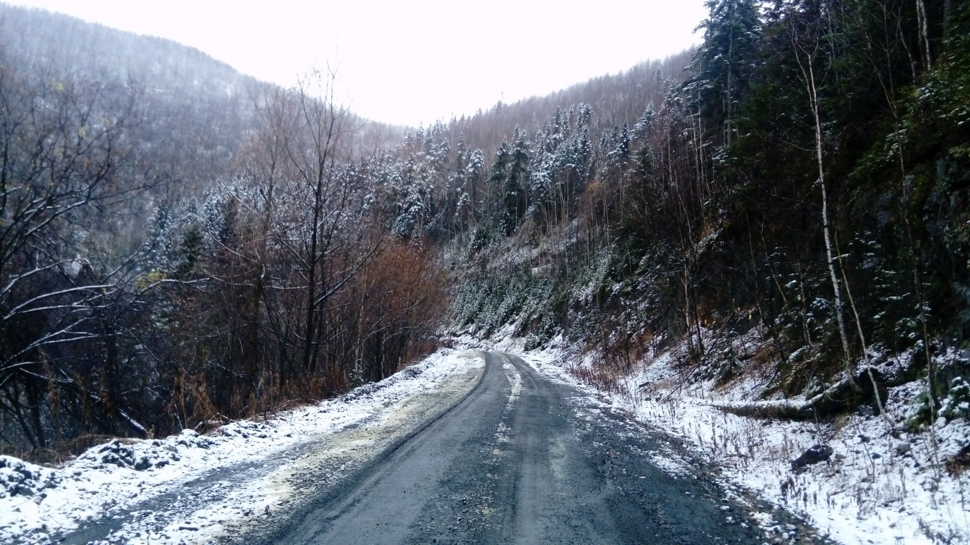 DSC_0989.JPG