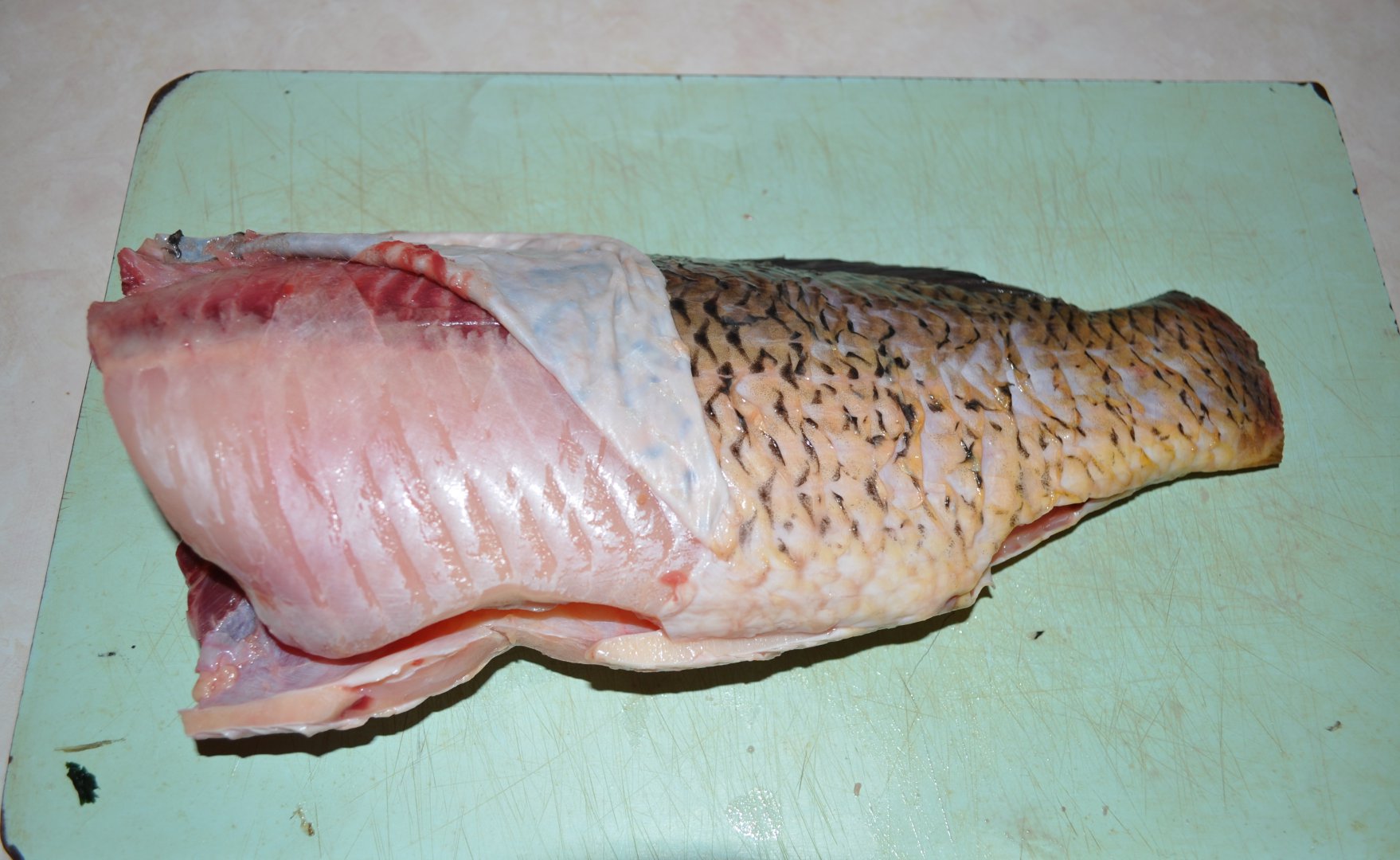 DSC_1012.JPG