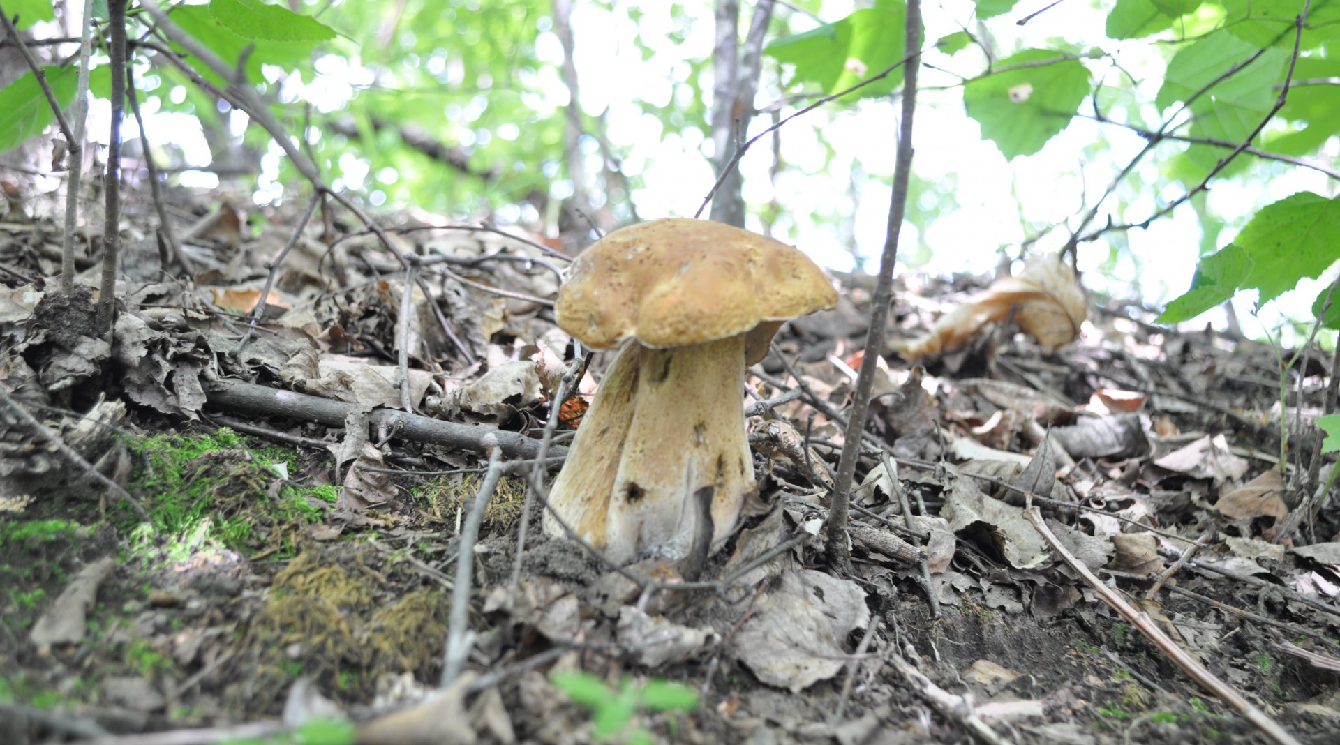 DSC_1019.JPG