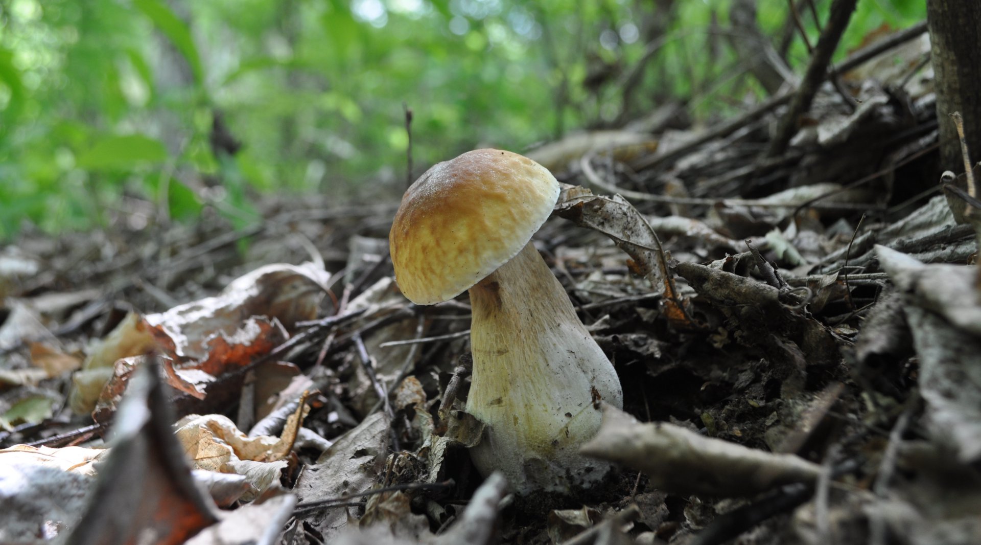 DSC_1034.JPG