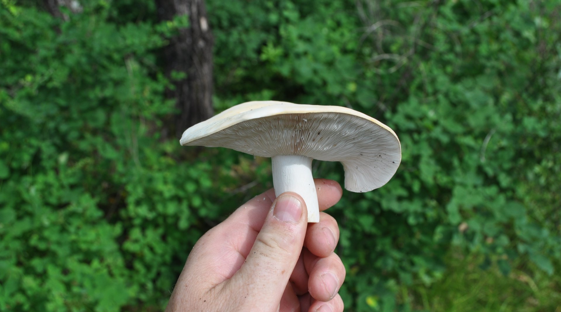 DSC_1054.JPG