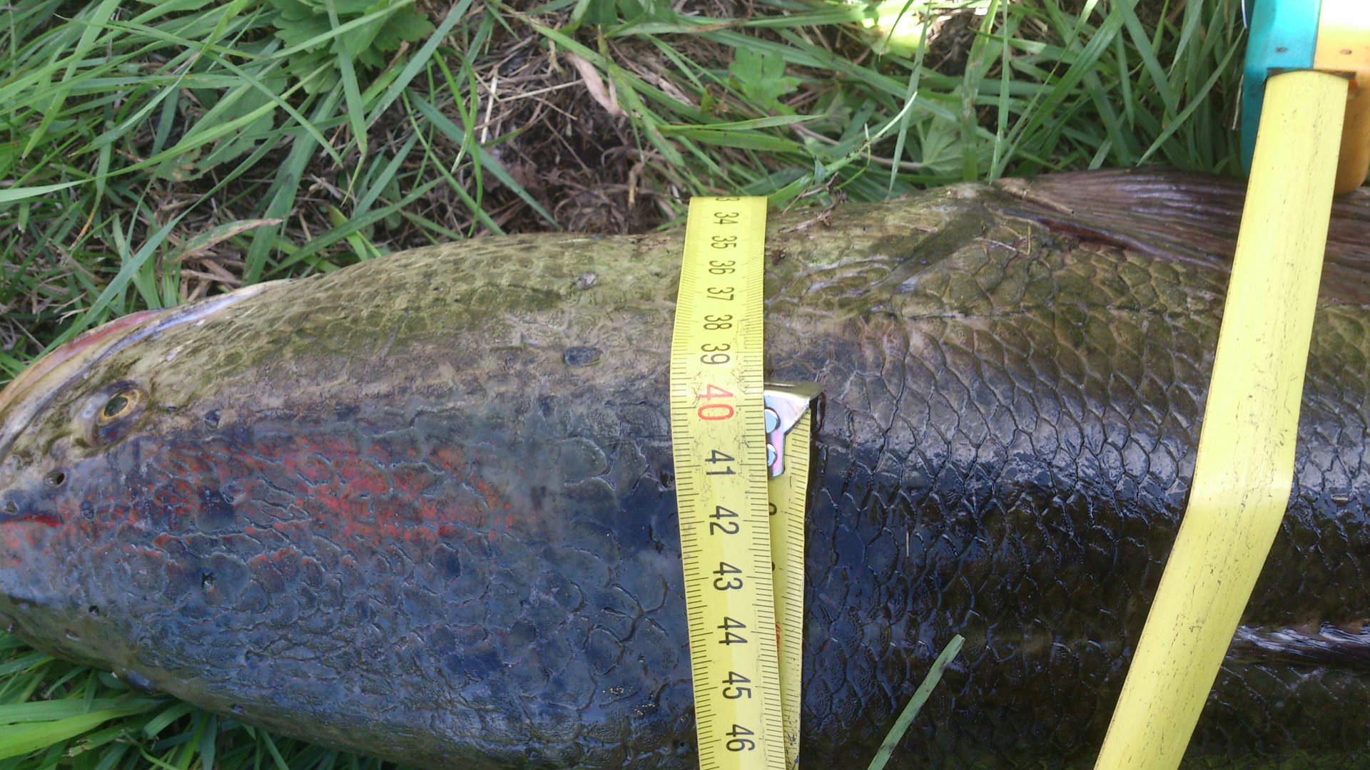 DSC_1061.jpg