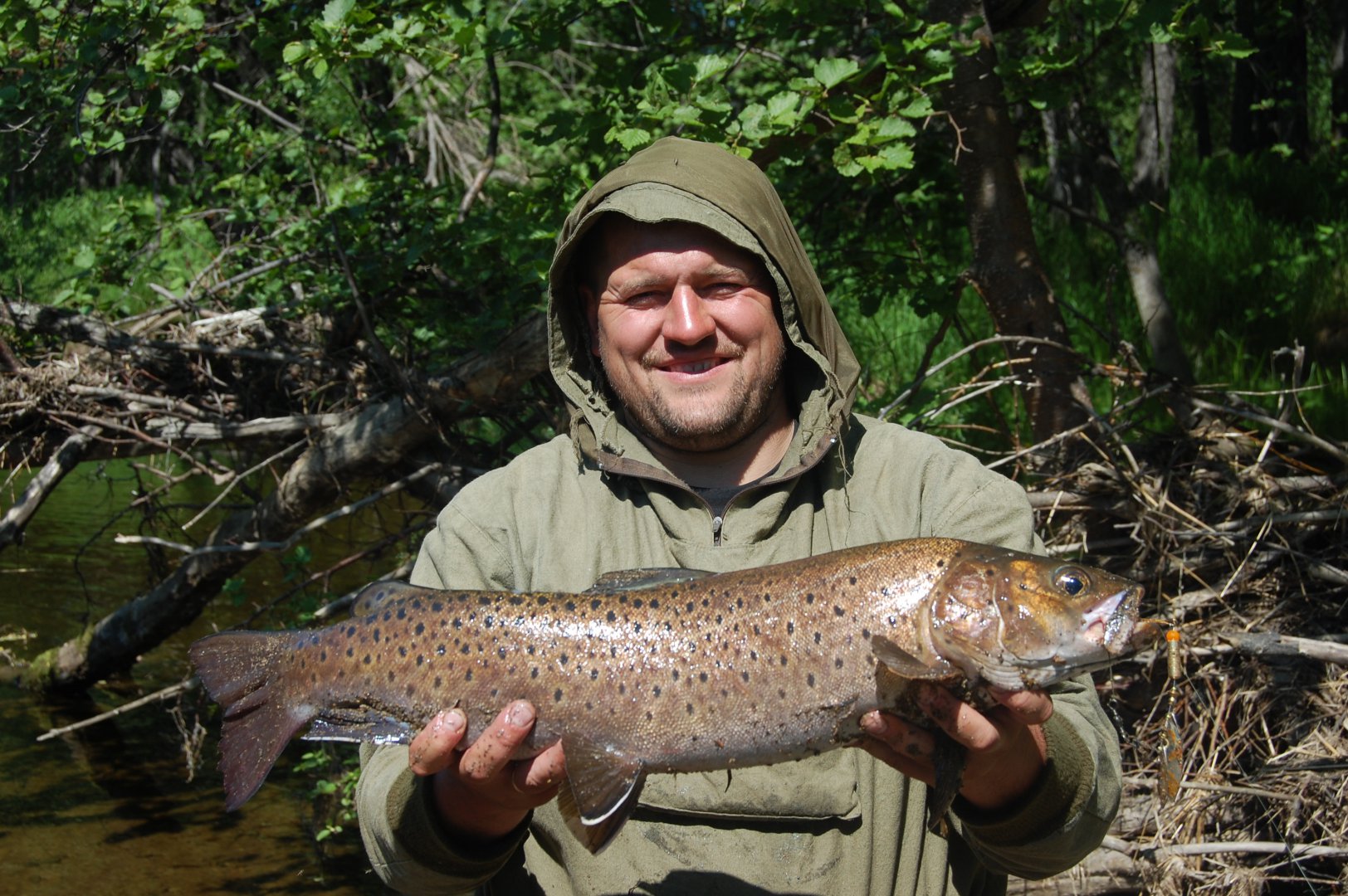 DSC_1073.JPG