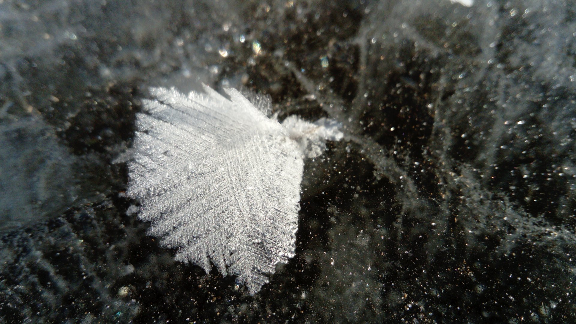 DSC_1082.JPG