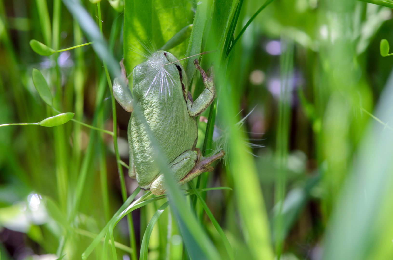 DSC_1082.jpg