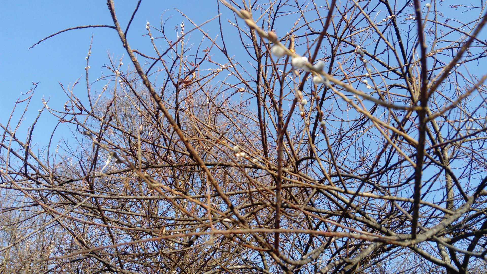 DSC_1110.JPG