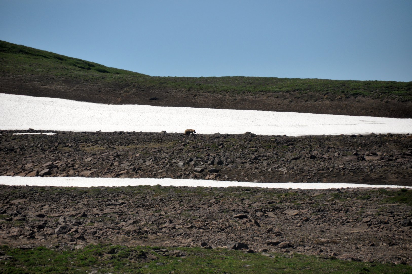 DSC_1154.jpg