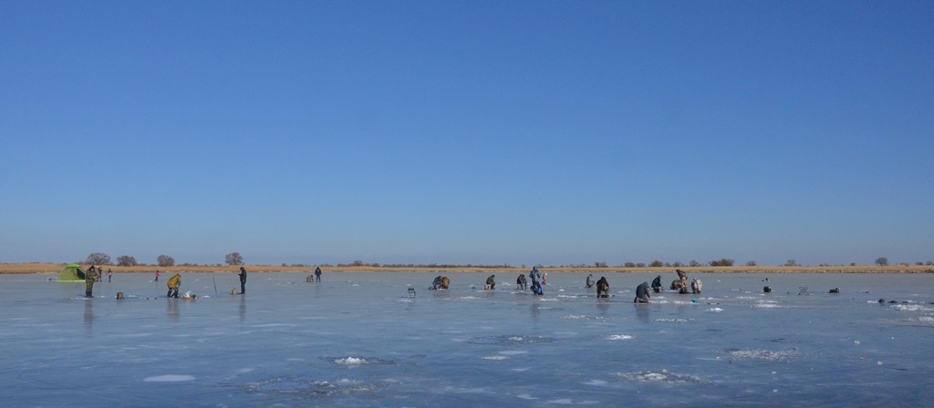 DSC_1191.JPG