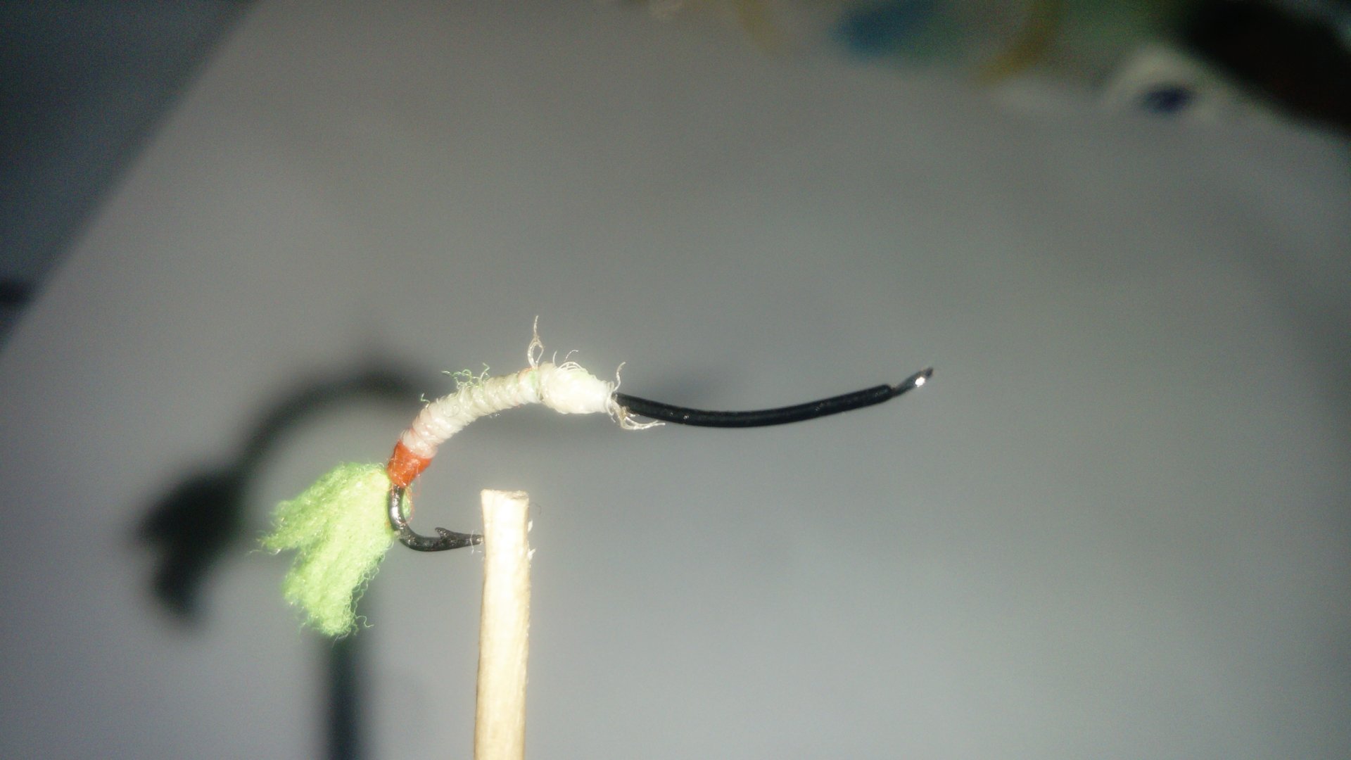 DSC_1295.JPG