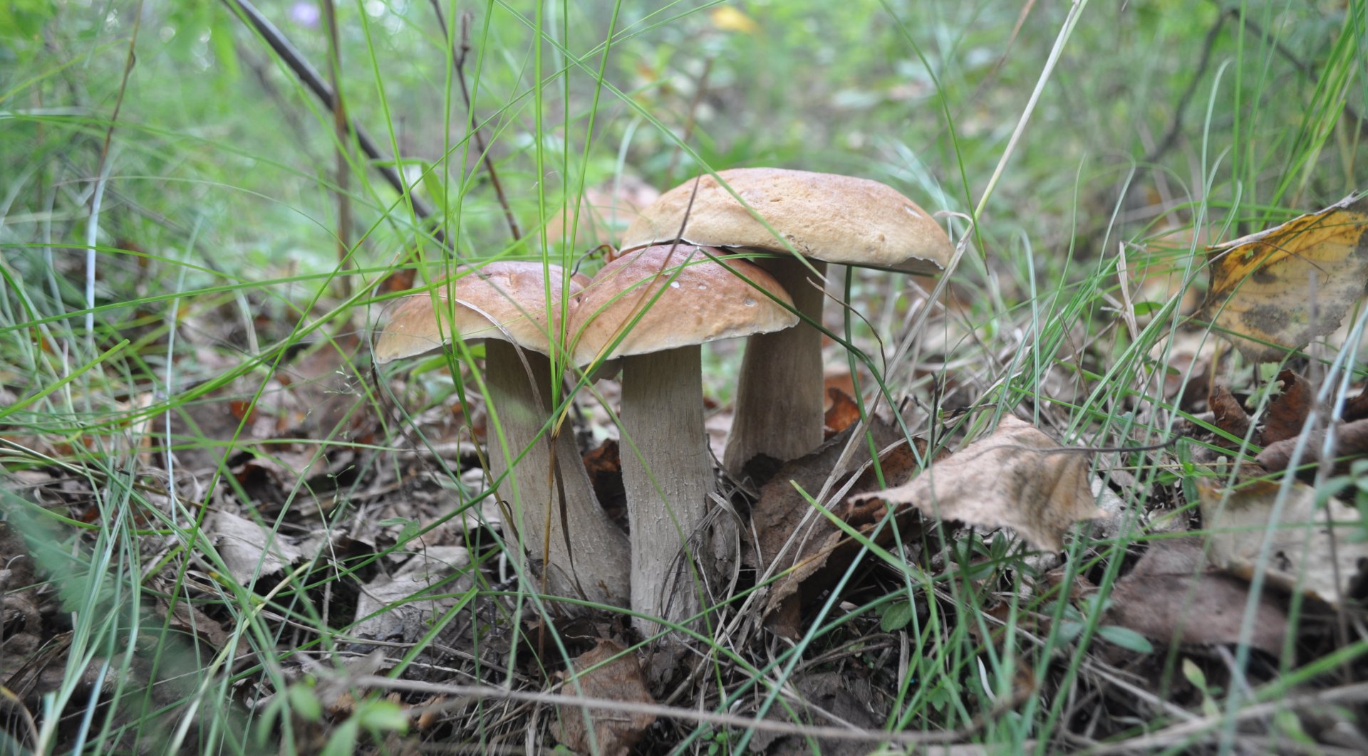 DSC_1389.JPG