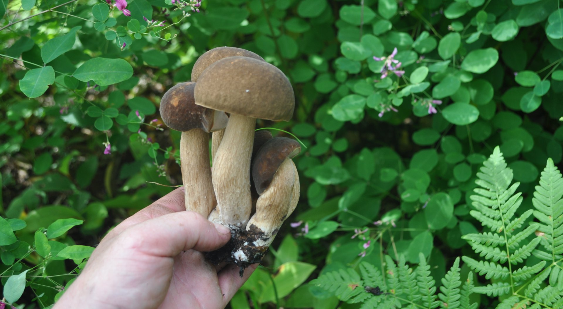 DSC_1403.JPG
