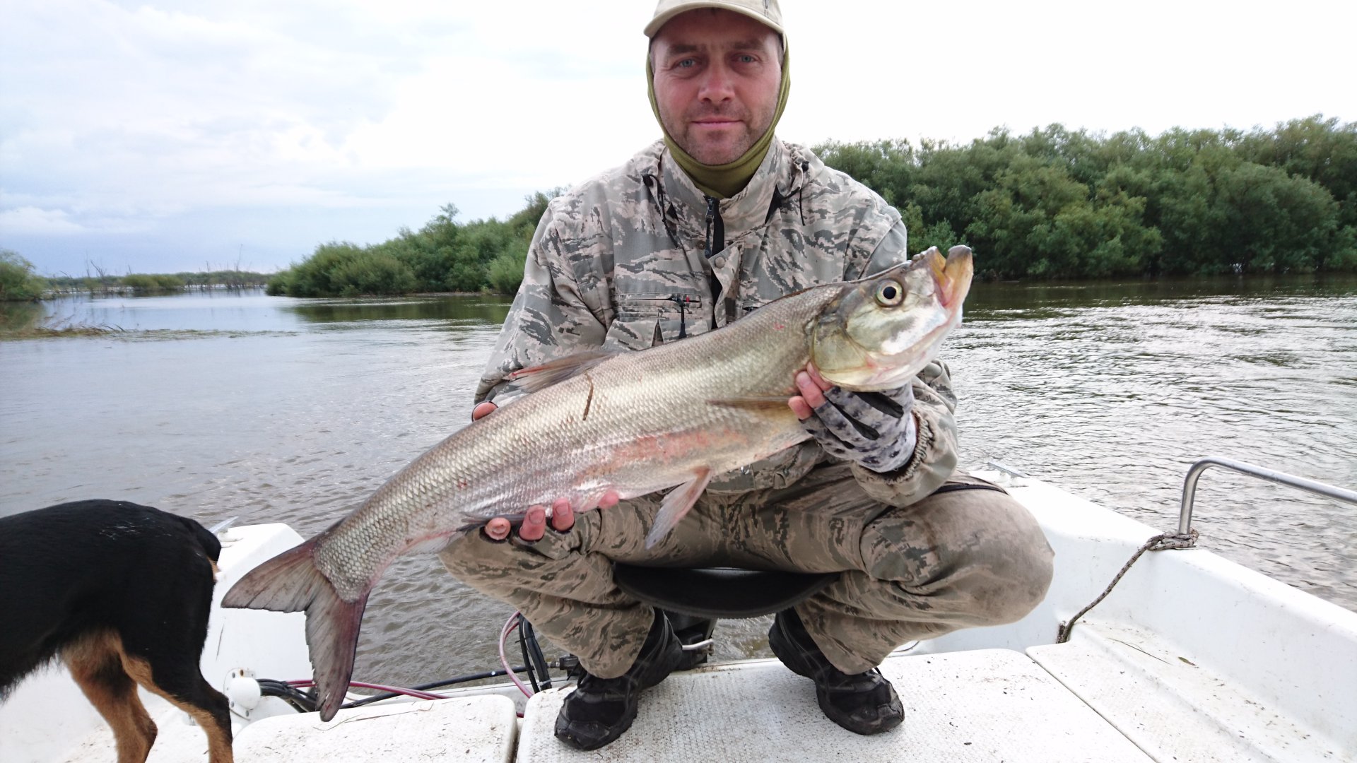 DSC_1417.JPG DSC_1417.JPG