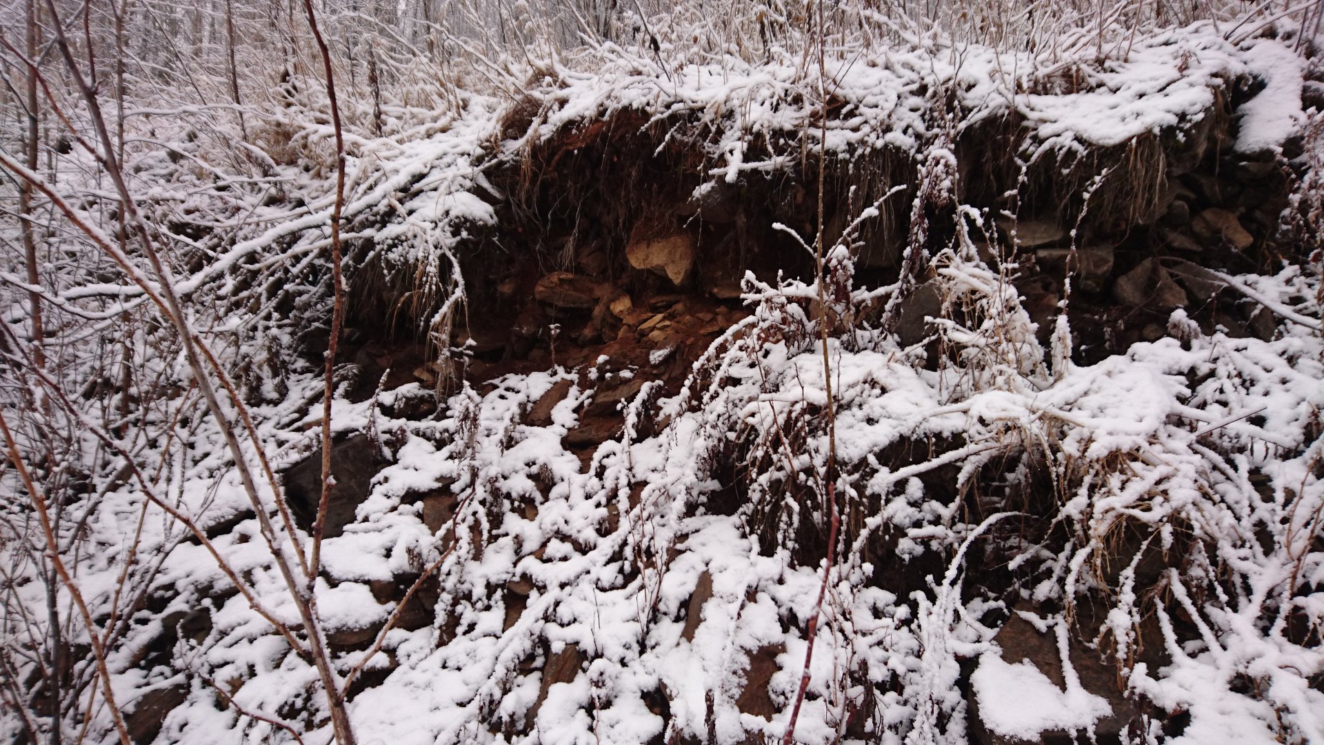 DSC_1493.JPG