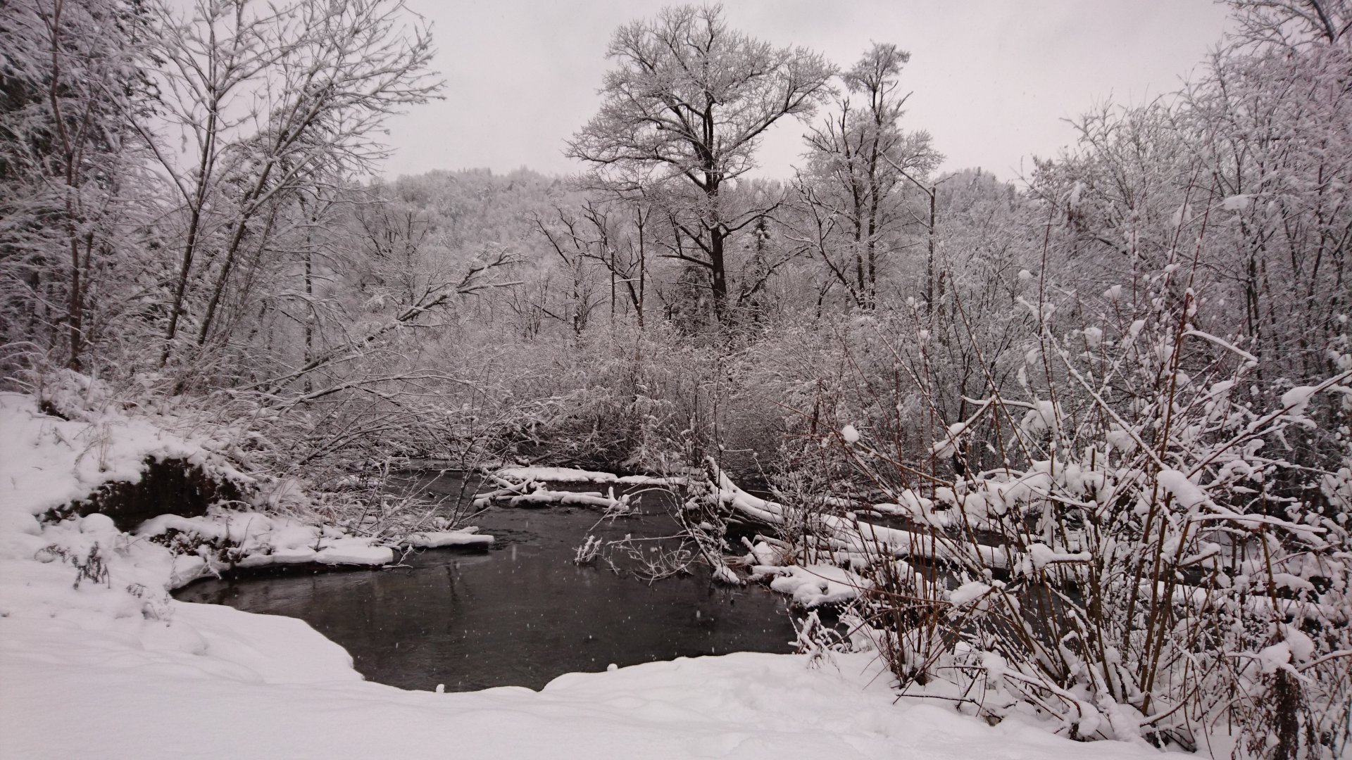 DSC_1505.JPG