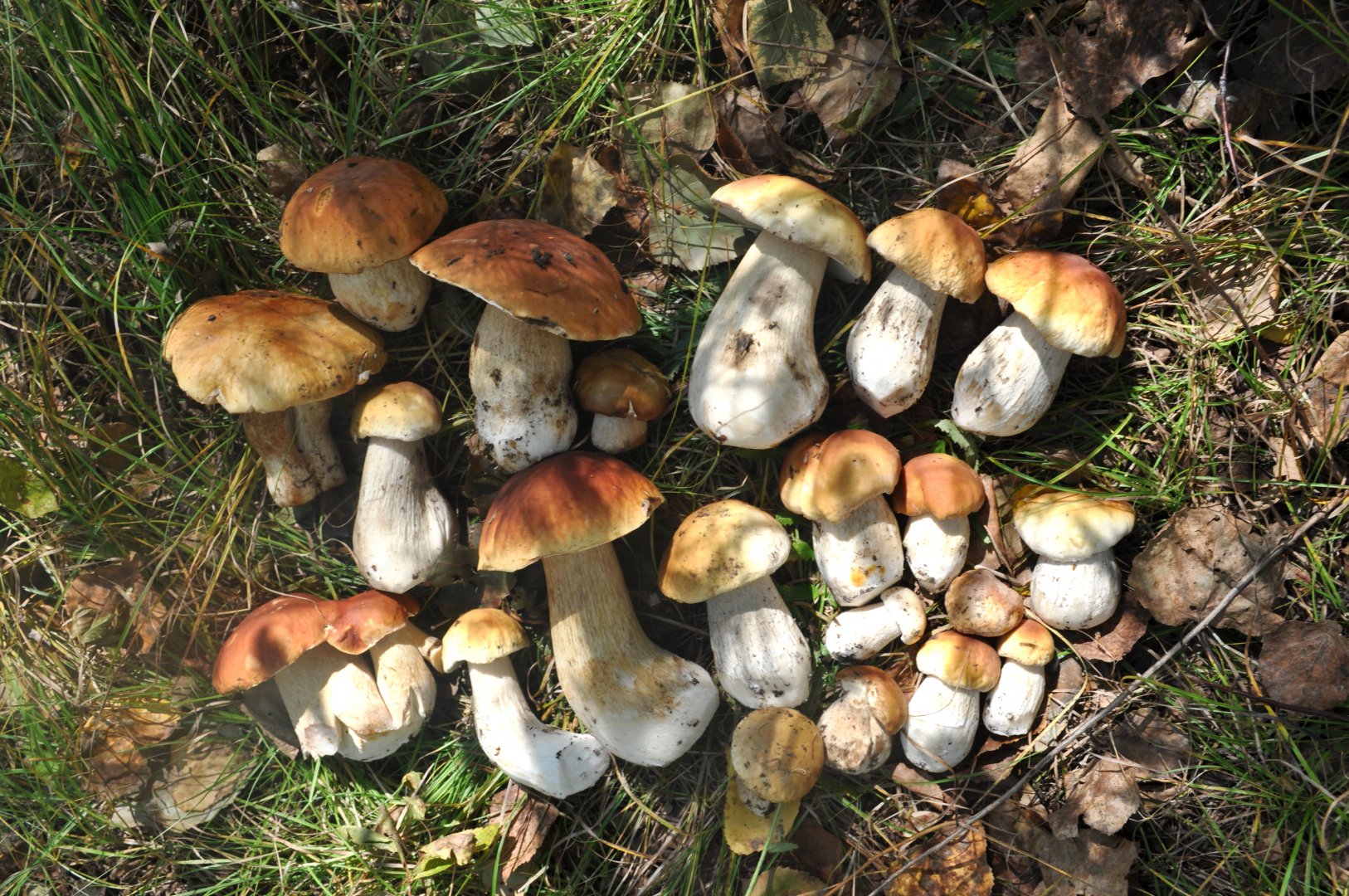DSC_1507.JPG
