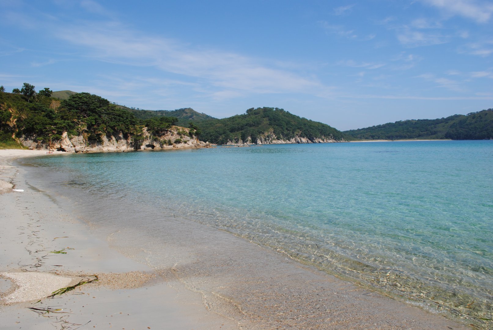 DSC_1572.JPG