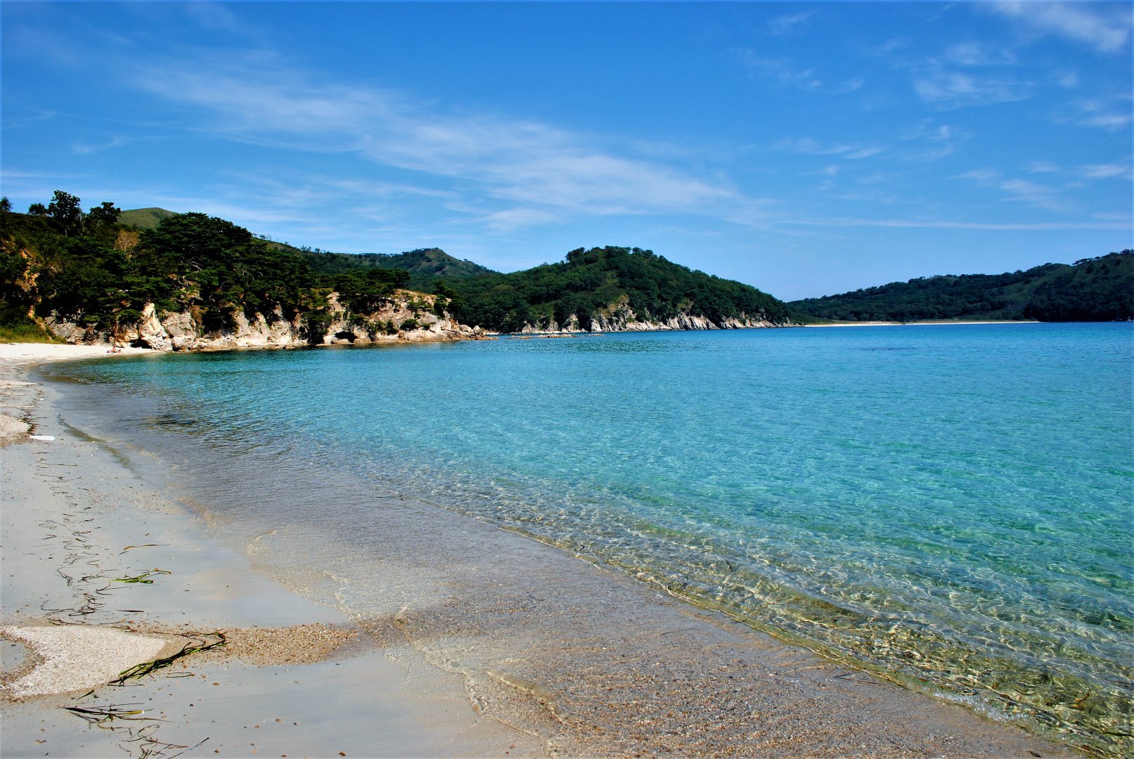 DSC_1572.jpg