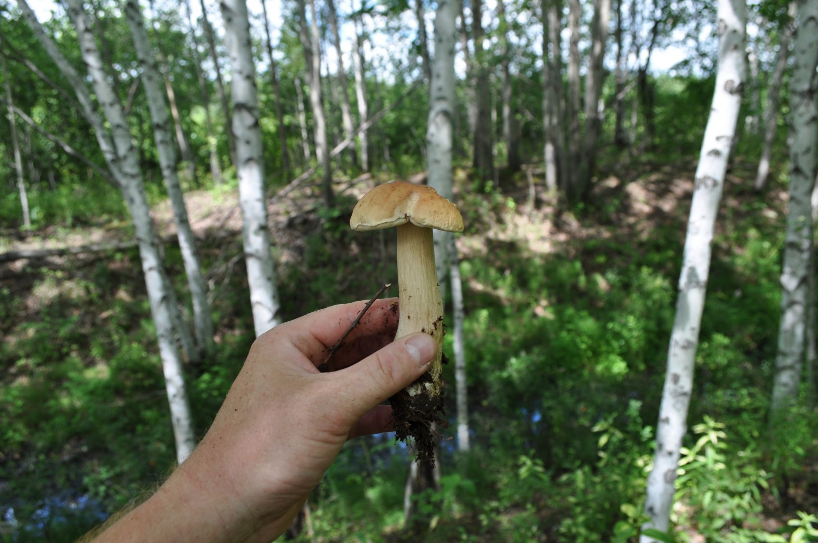 DSC_1643.JPG