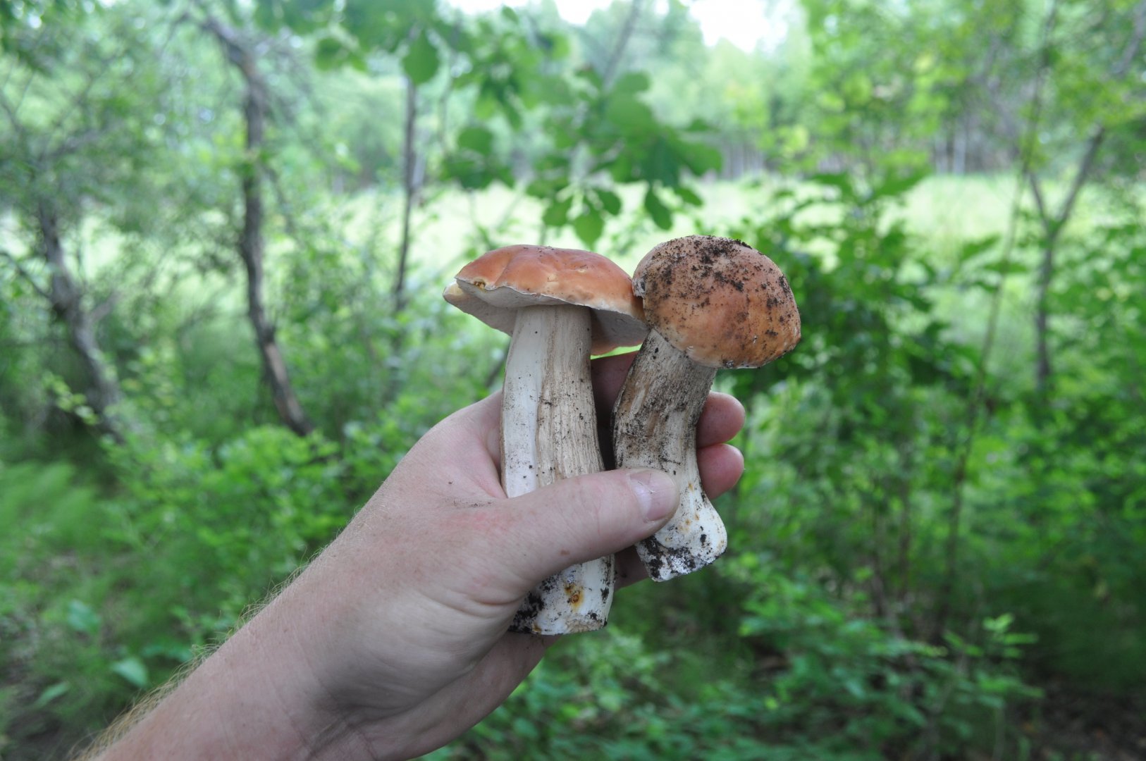 DSC_1661.JPG