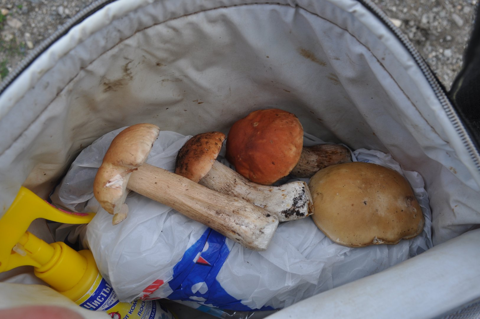 DSC_1664.JPG