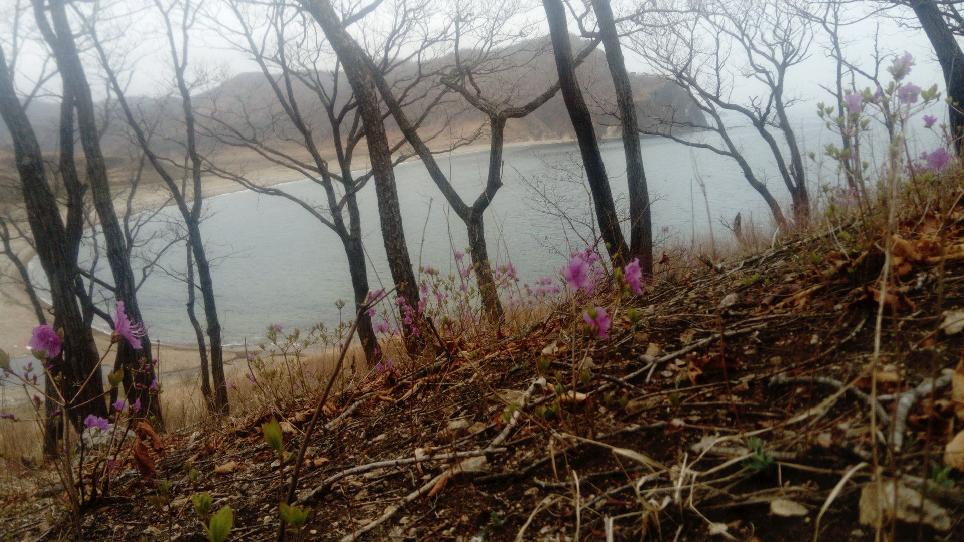DSC_1692.JPG