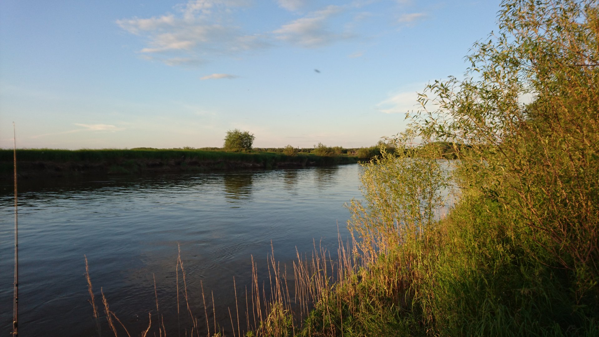 DSC_1699.JPG