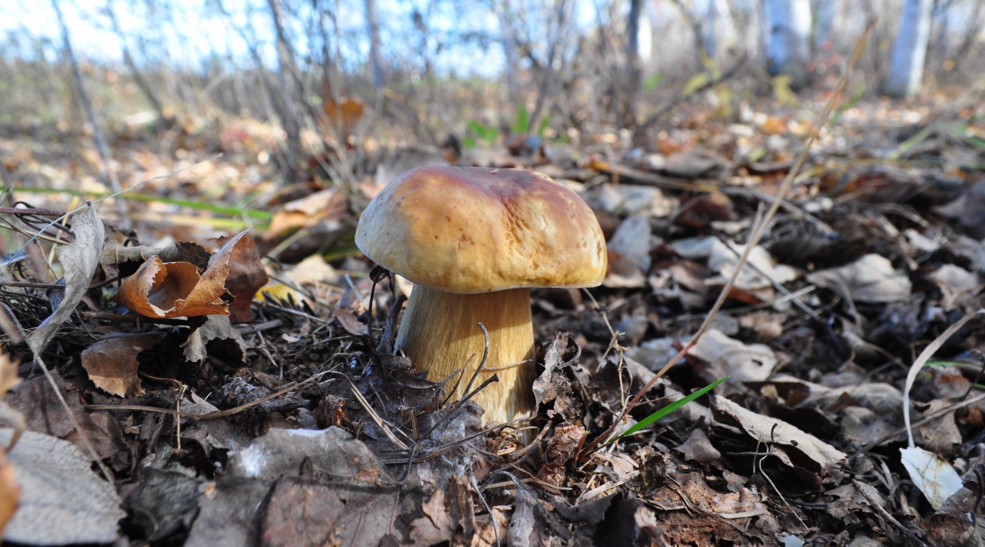 DSC_1766.JPG