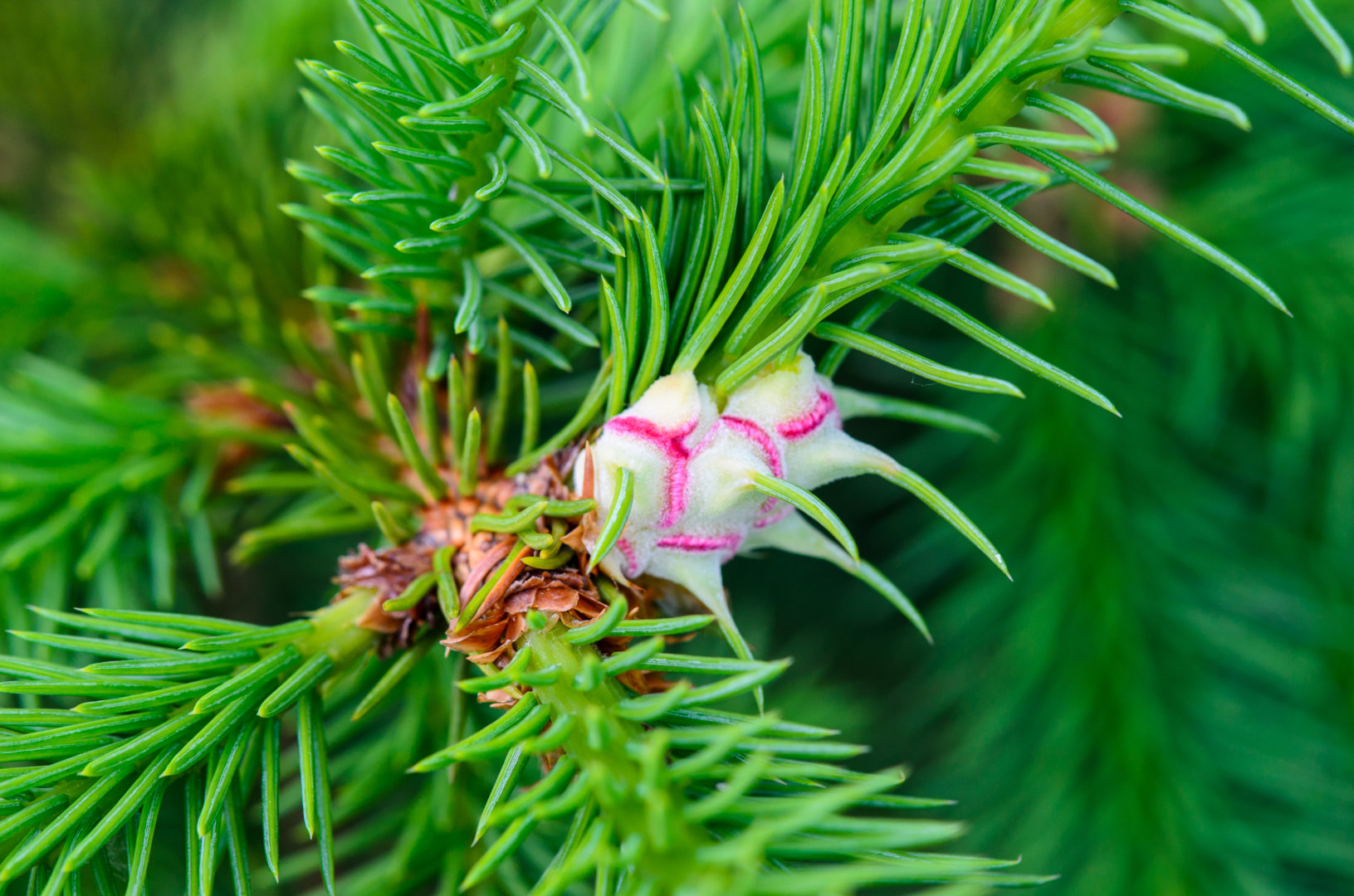 DSC_2146.jpg