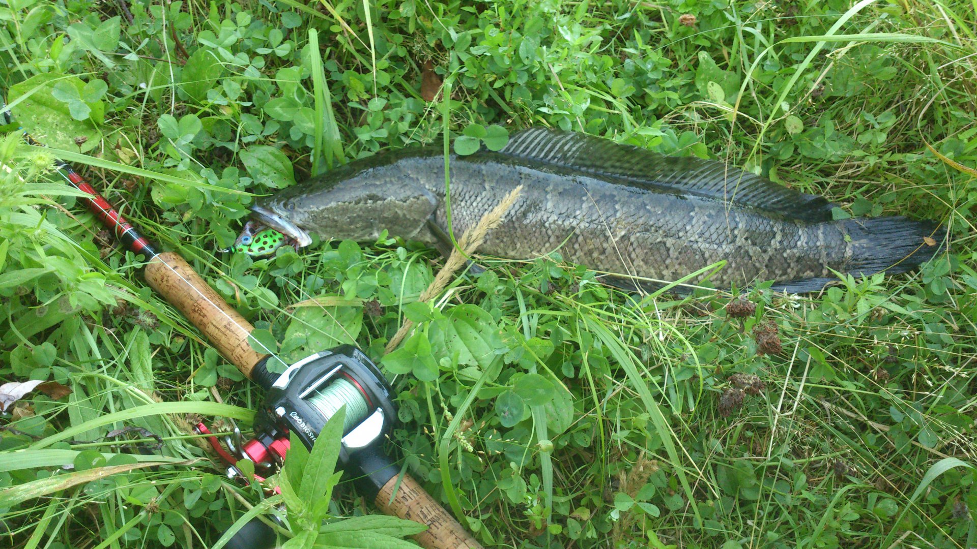 DSC_2153.jpg