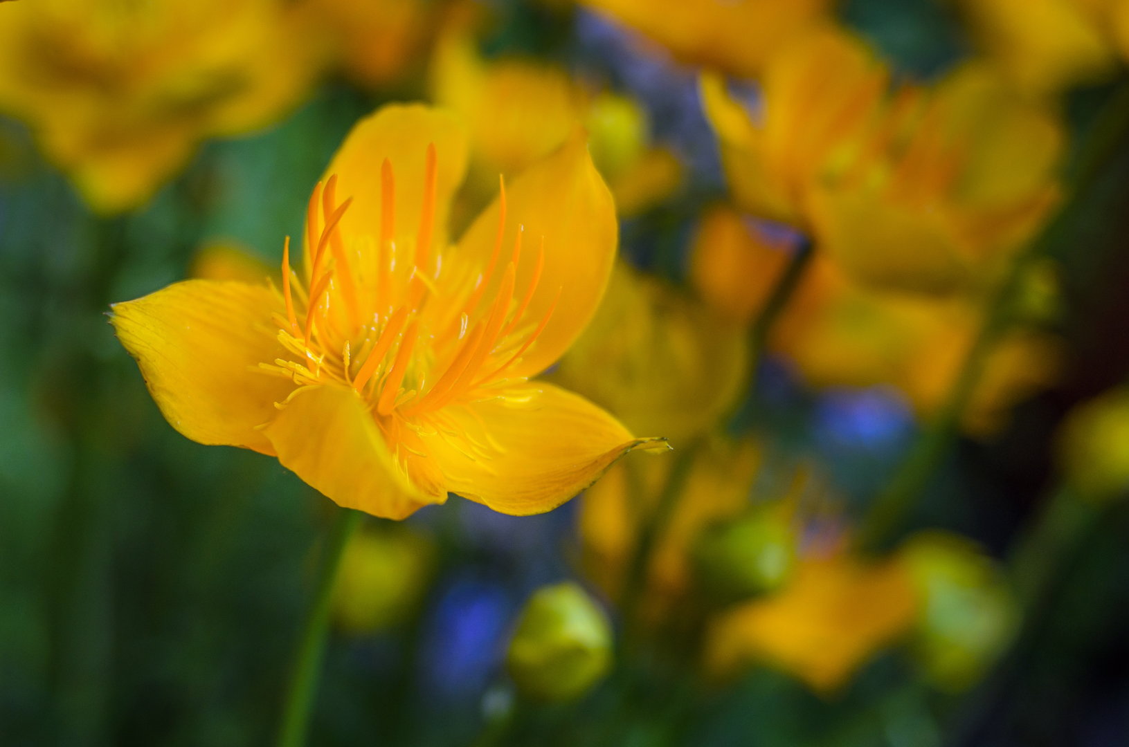 DSC_2200.jpg