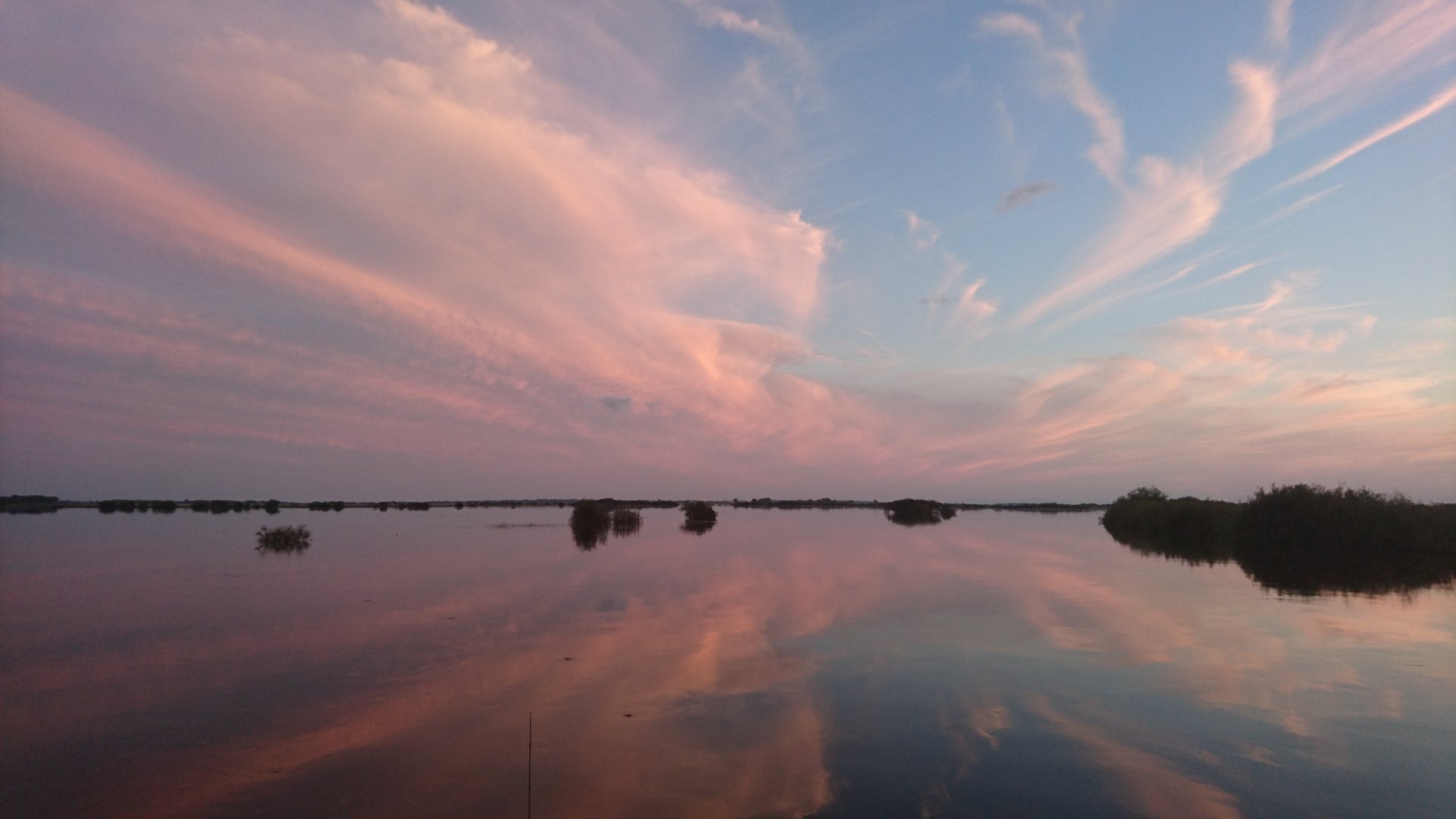 DSC_2538.JPG