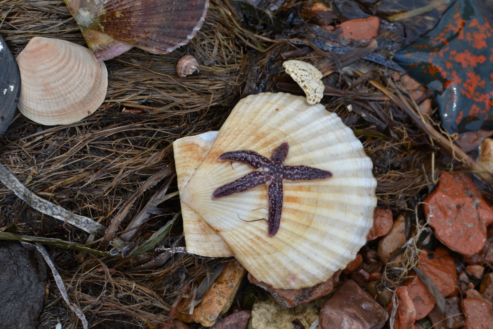 DSC_3268.JPG