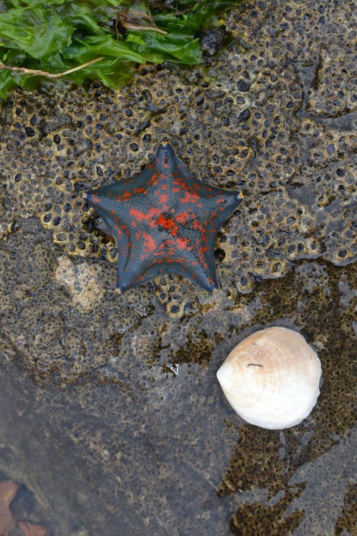 DSC_3321.JPG