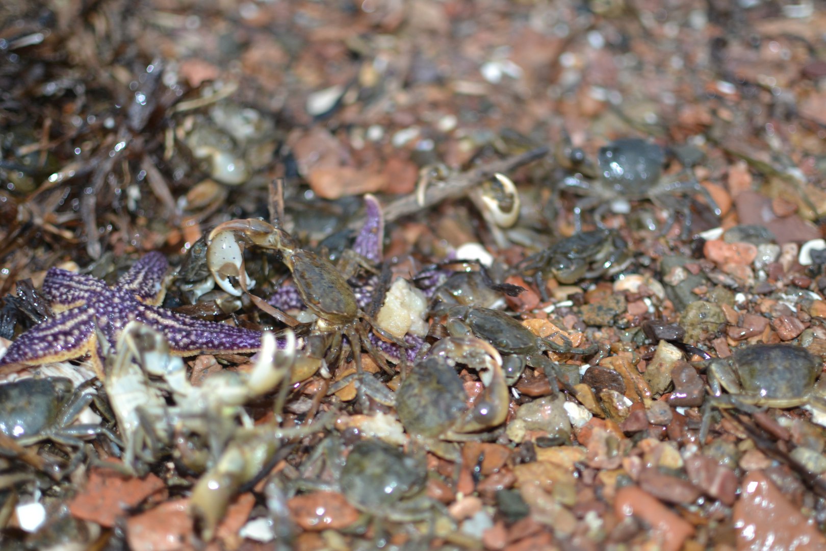 DSC_3461.JPG