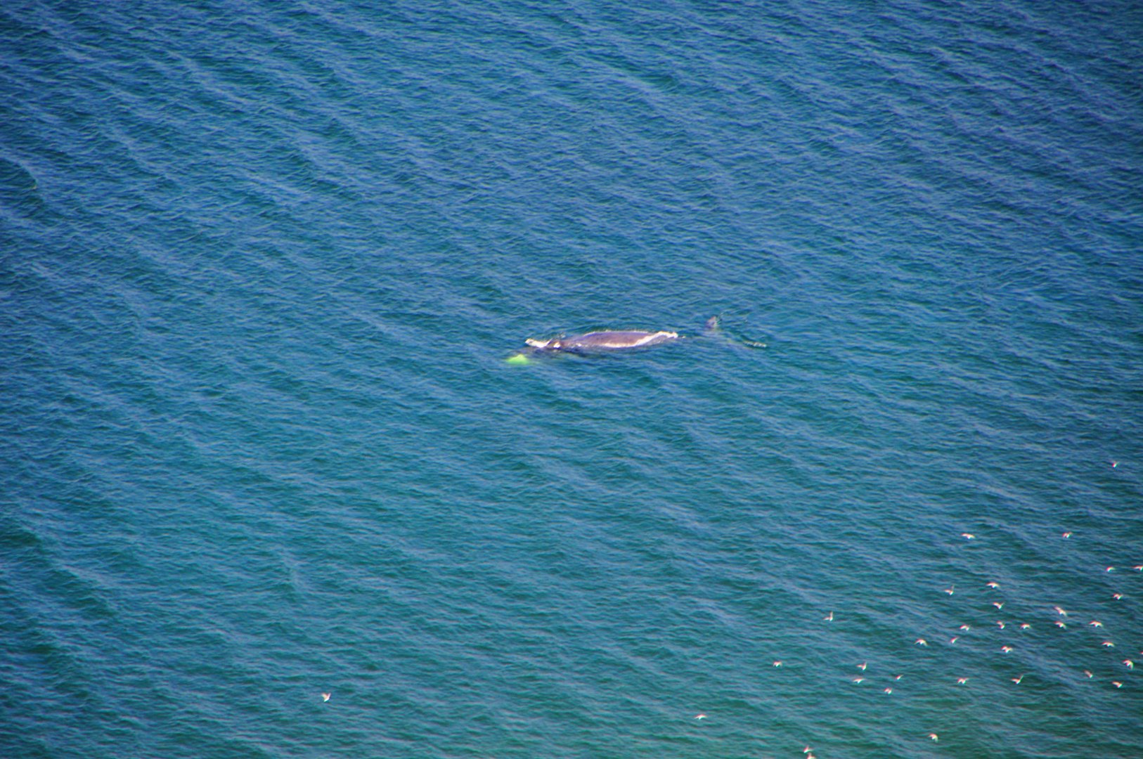 DSC_3507.JPG