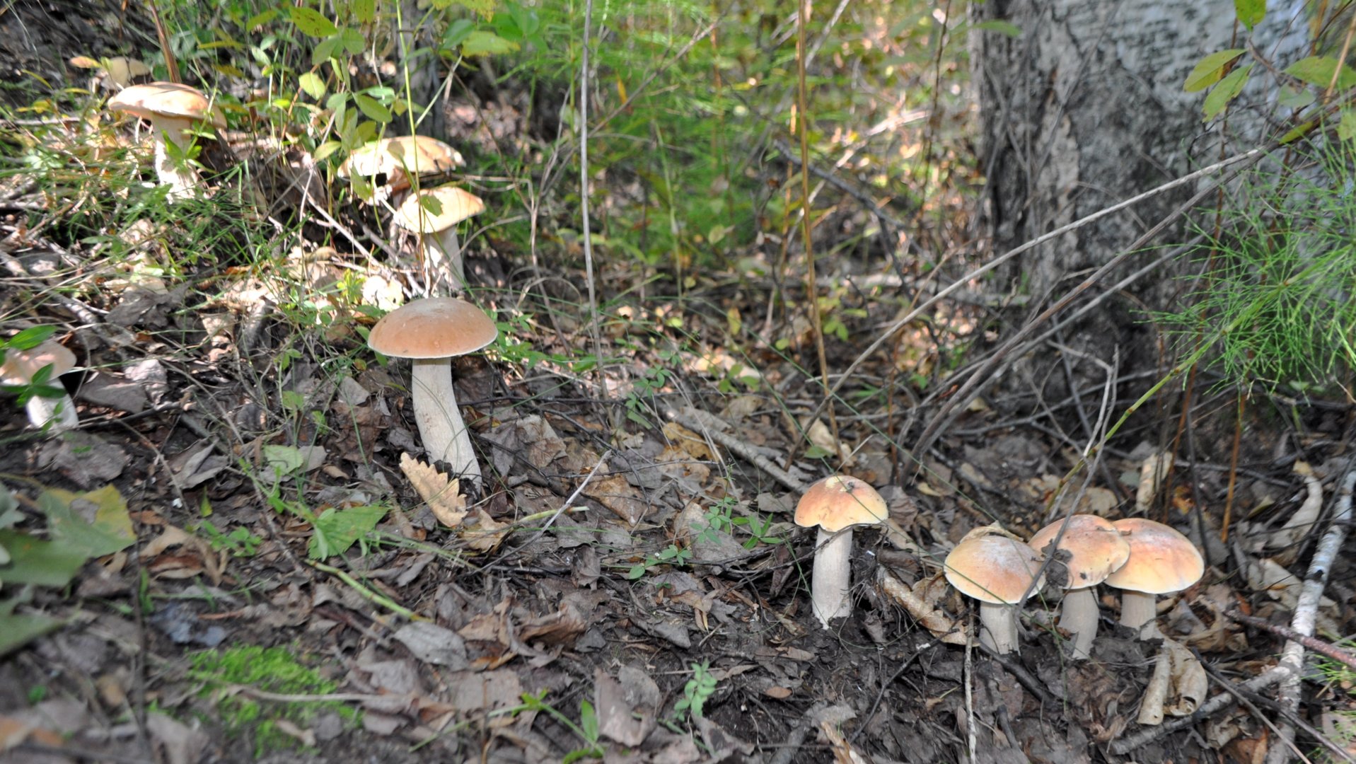 DSC_3934.JPG