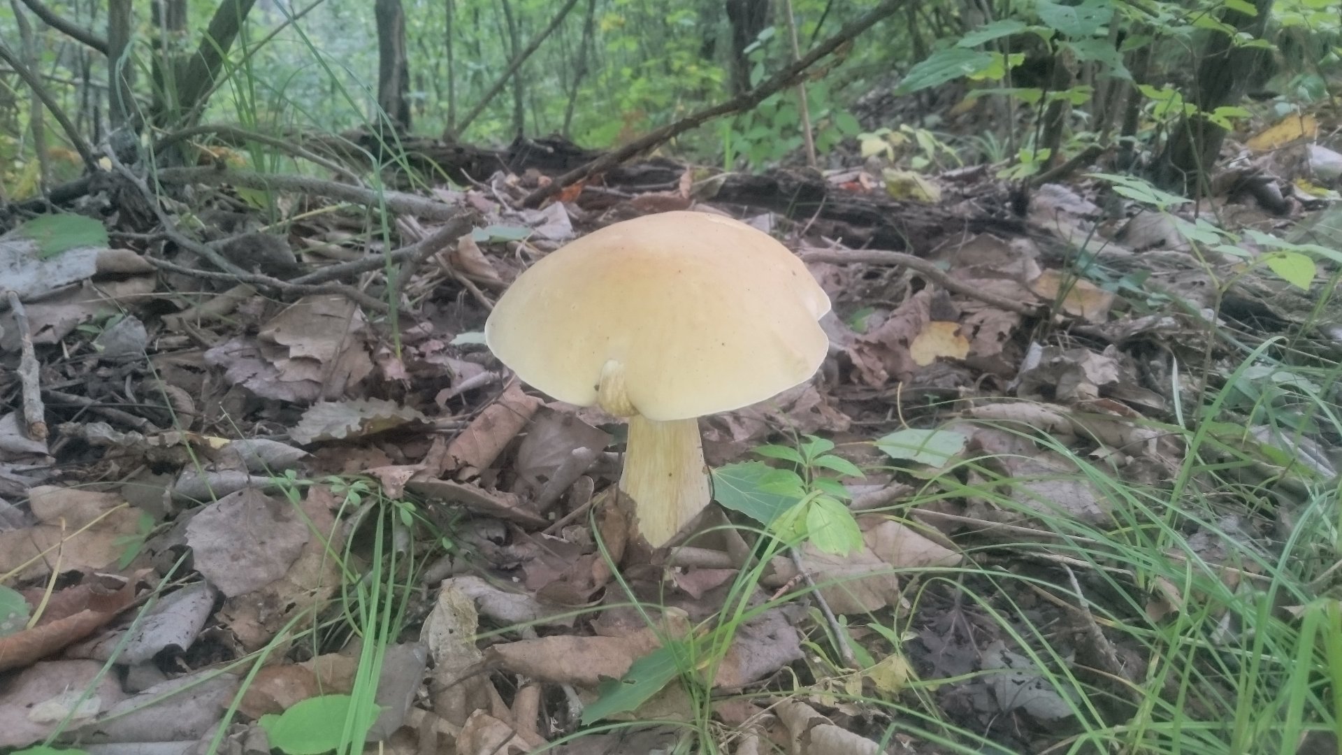 DSC_4082.JPG