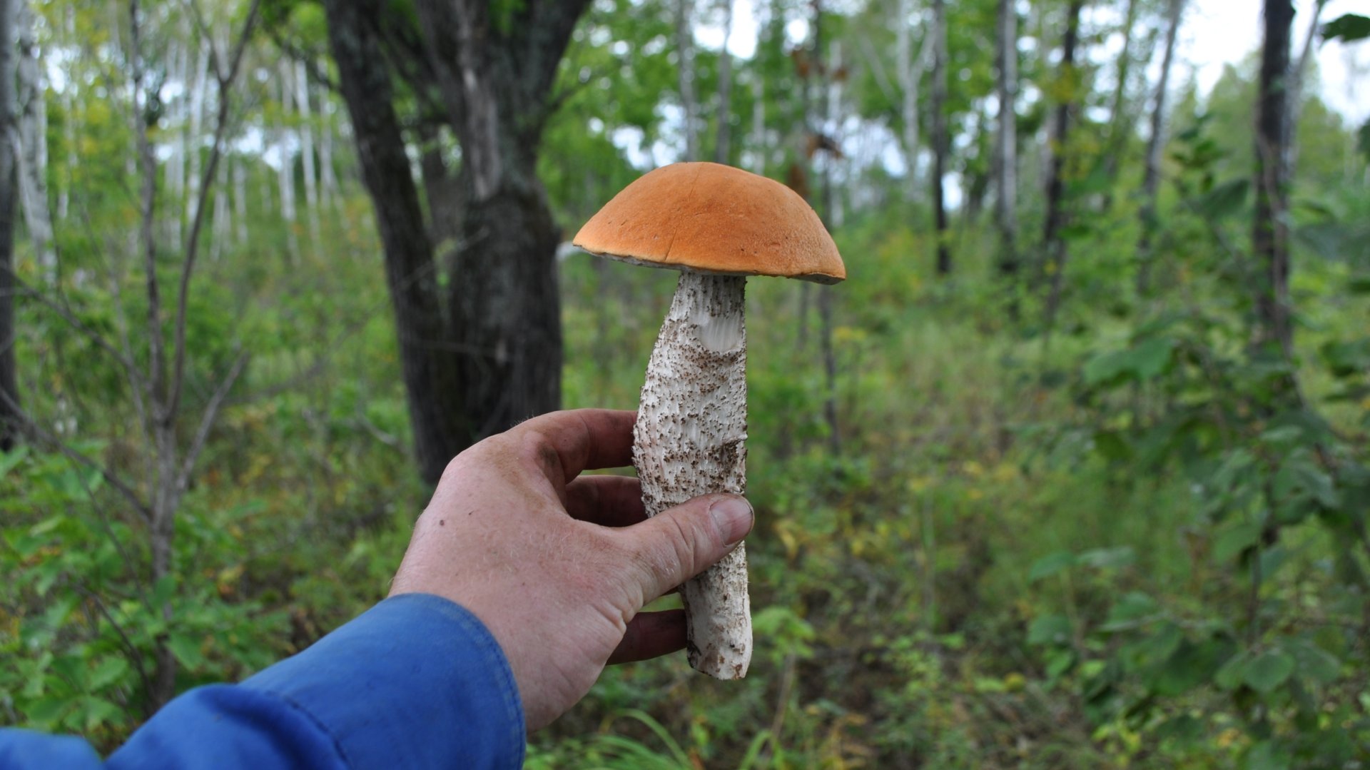 DSC_4290.JPG