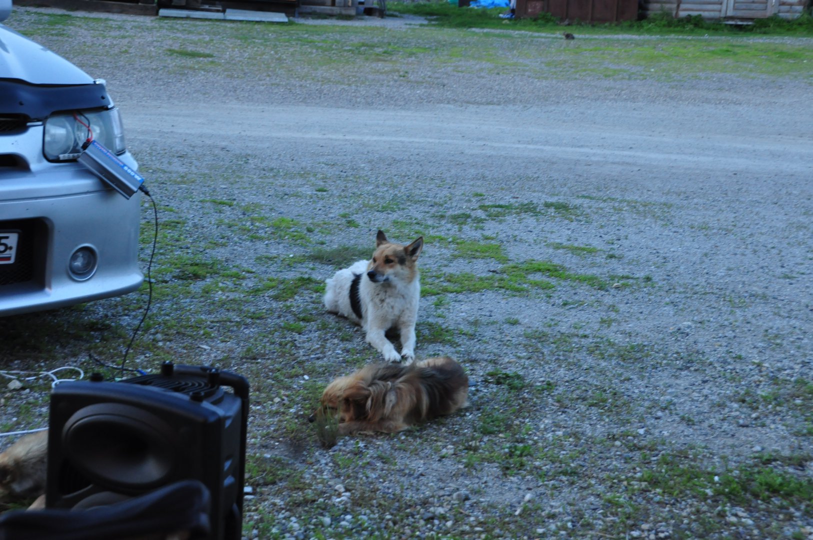 DSC_4294.JPG