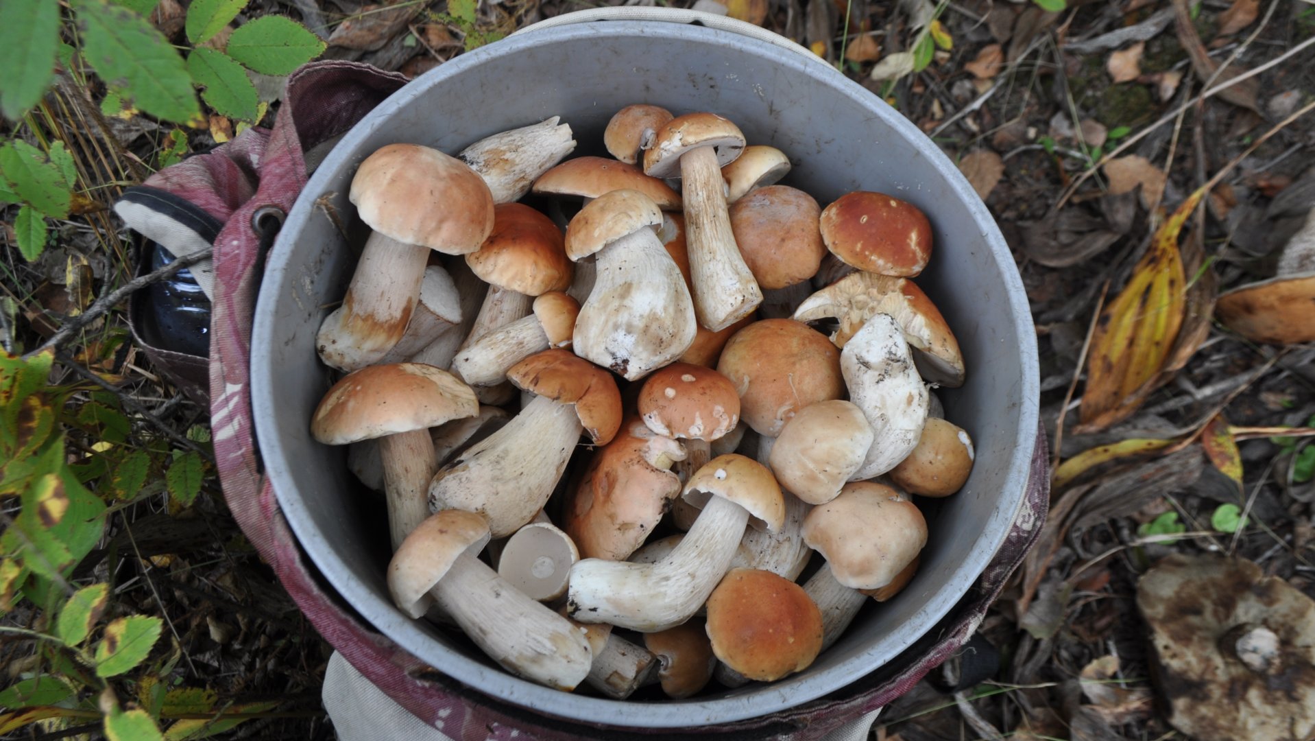DSC_4296.JPG