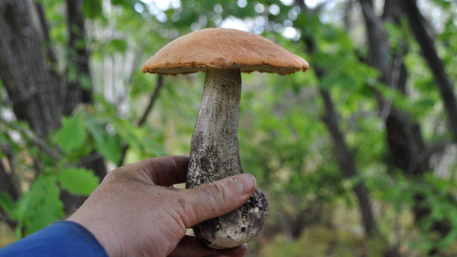DSC_4299.JPG
