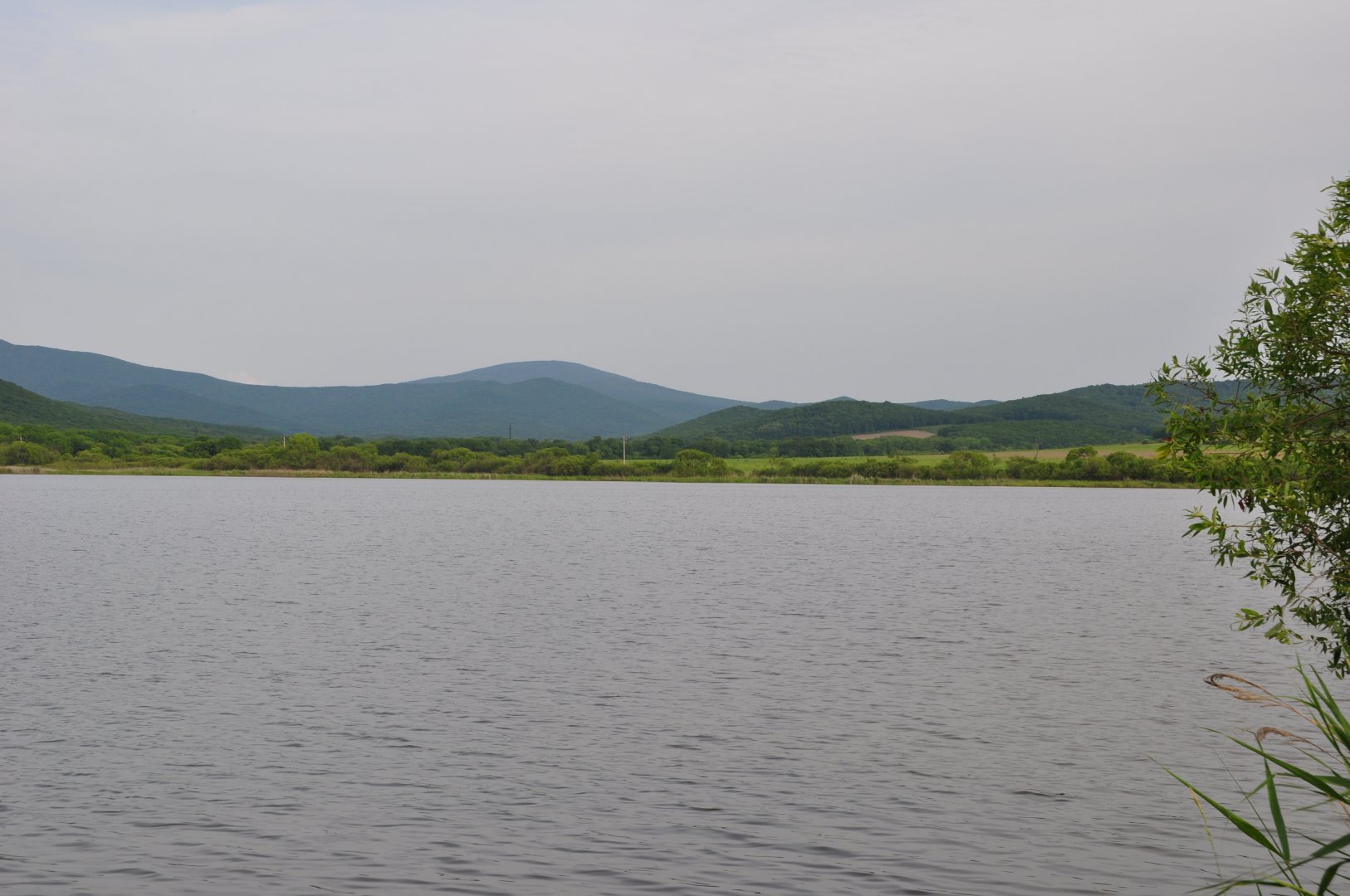 DSC_4404.JPG